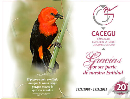 CACEGU | CENA 20º ANIVERSARIO